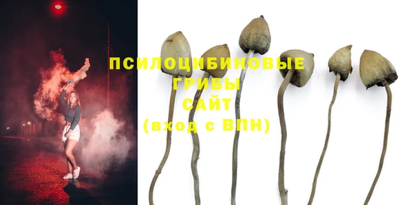ПСИЛОЦИБИНОВЫЕ ГРИБЫ Инта