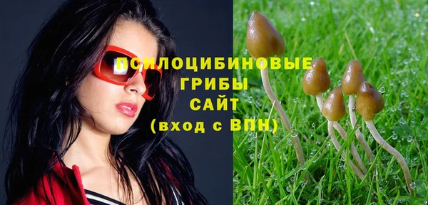 ПСИЛОЦИБИНОВЫЕ ГРИБЫ Инта