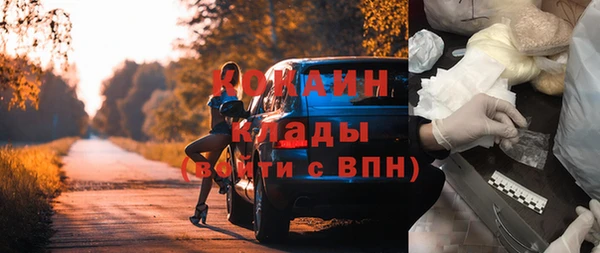 ПСИЛОЦИБИНОВЫЕ ГРИБЫ Инта