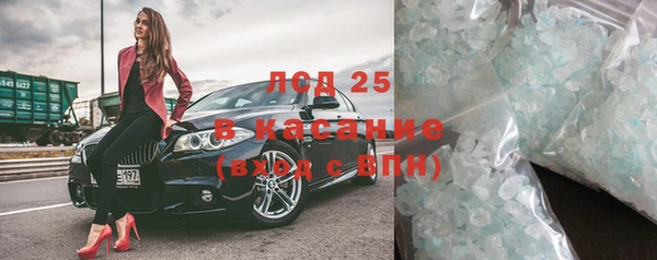 ПСИЛОЦИБИНОВЫЕ ГРИБЫ Инта